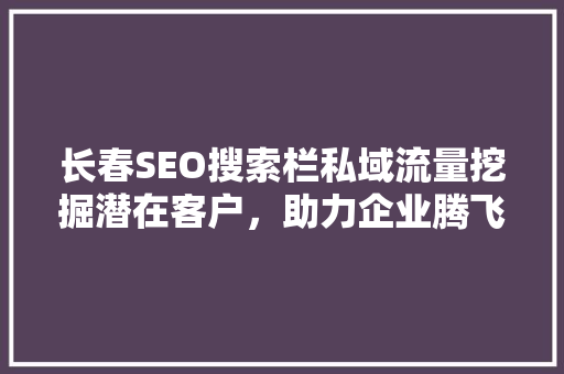 长春SEO搜索栏私域流量挖掘潜在客户，助力企业腾飞