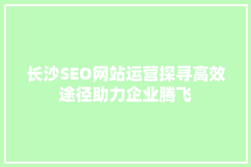 长沙SEO网站运营探寻高效途径助力企业腾飞