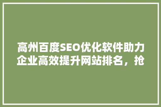 高州百度SEO优化软件助力企业高效提升网站排名，抢占互联网市场先机