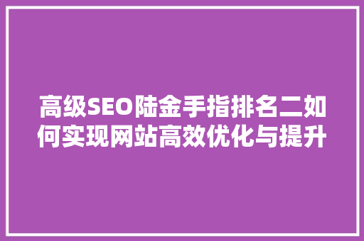 高级SEO陆金手指排名二如何实现网站高效优化与提升流量