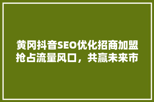 黄冈抖音SEO优化招商加盟抢占流量风口，共赢未来市场