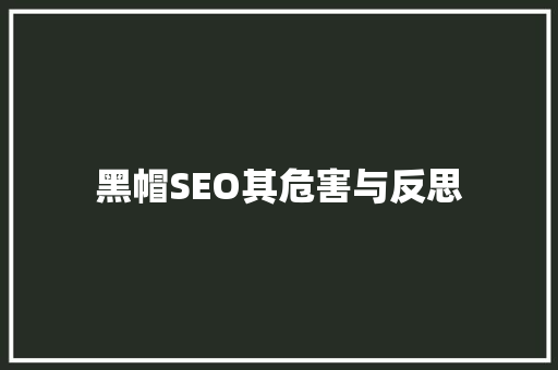 黑帽SEO其危害与反思