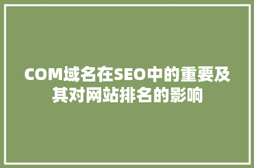 COM域名在SEO中的重要及其对网站排名的影响