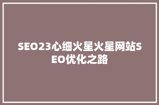 SEO23心细火星火星网站SEO优化之路