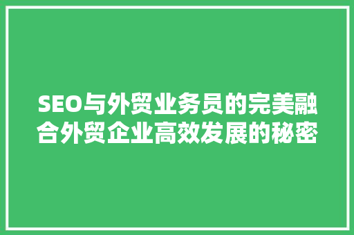 SEO与外贸业务员的完美融合外贸企业高效发展的秘密武器