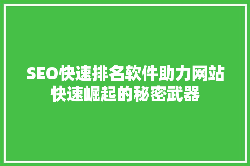 SEO快速排名软件助力网站快速崛起的秘密武器