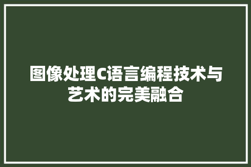 图像处理C语言编程技术与艺术的完美融合