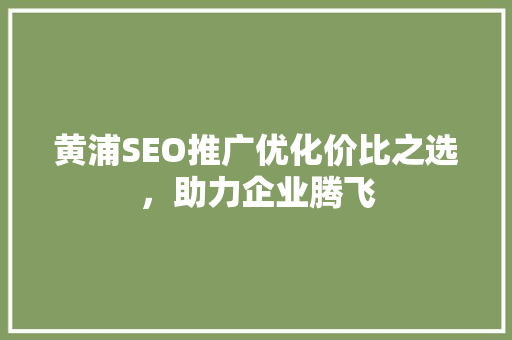 黄浦SEO推广优化价比之选，助力企业腾飞