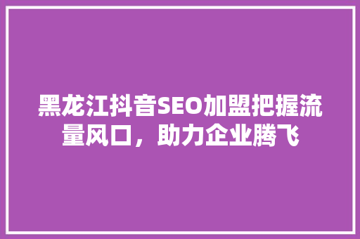 黑龙江抖音SEO加盟把握流量风口，助力企业腾飞