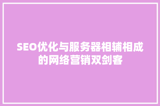 SEO优化与服务器相辅相成的网络营销双剑客