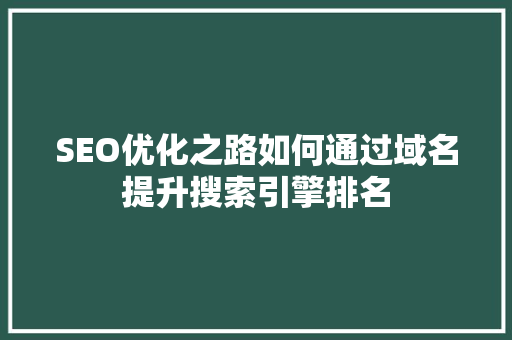 SEO优化之路如何通过域名提升搜索引擎排名