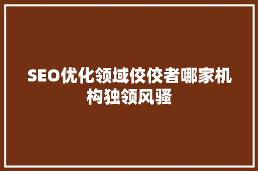 SEO优化领域佼佼者哪家机构独领风骚