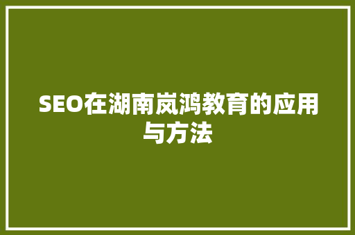 SEO在湖南岚鸿教育的应用与方法