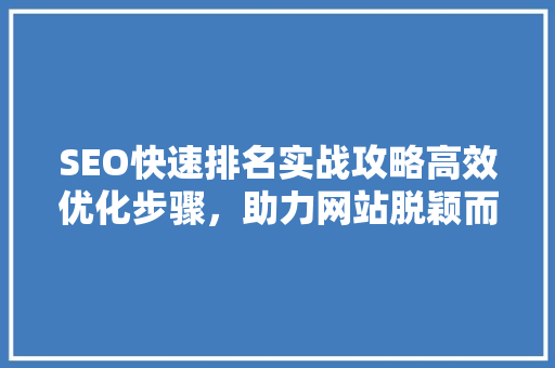 SEO快速排名实战攻略高效优化步骤，助力网站脱颖而出