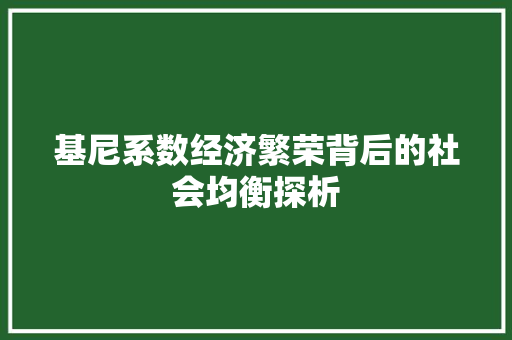 基尼系数经济繁荣背后的社会均衡探析