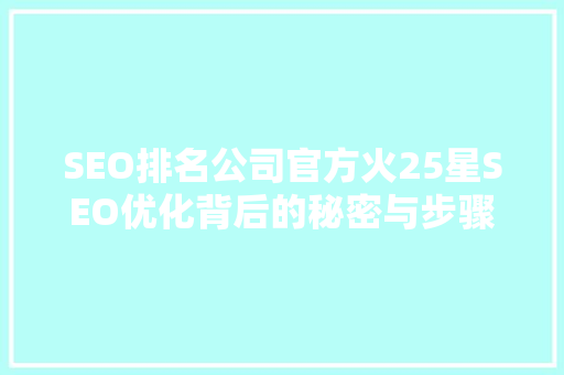 SEO排名公司官方火25星SEO优化背后的秘密与步骤