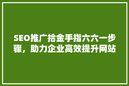 SEO推广拾金手指六六一步骤，助力企业高效提升网站排名  第1张