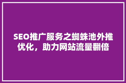 SEO推广服务之蜘蛛池外推优化，助力网站流量翻倍  第1张