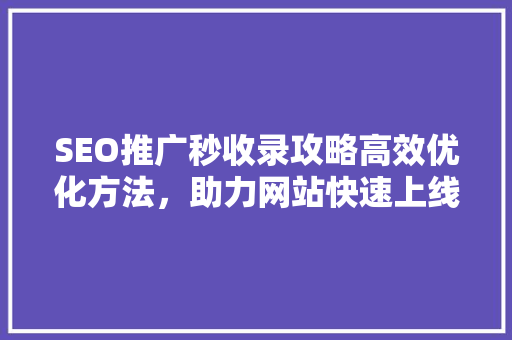 SEO推广秒收录攻略高效优化方法，助力网站快速上线