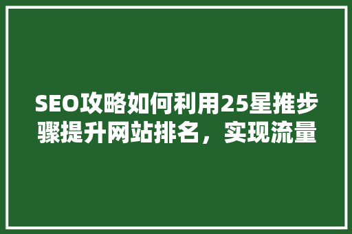 SEO攻略如何利用25星推步骤提升网站排名，实现流量翻倍
