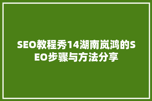 SEO教程秀14湖南岚鸿的SEO步骤与方法分享