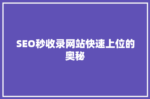 SEO秒收录网站快速上位的奥秘