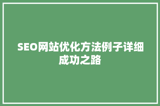 SEO网站优化方法例子详细成功之路