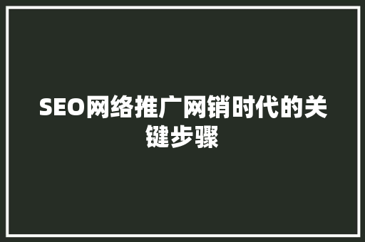 SEO网络推广网销时代的关键步骤