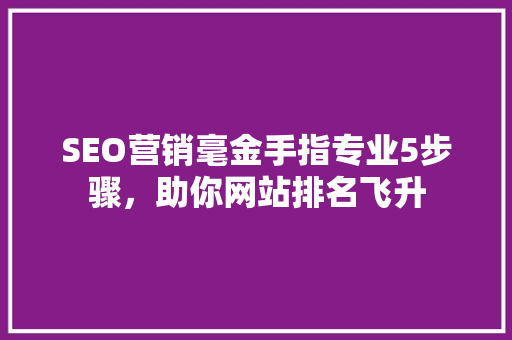 SEO营销毫金手指专业5步骤，助你网站排名飞升