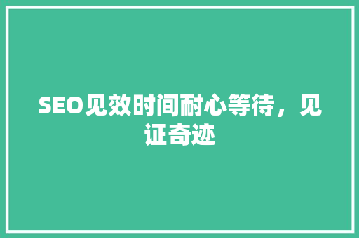 SEO见效时间耐心等待，见证奇迹