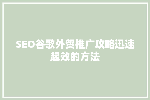 SEO谷歌外贸推广攻略迅速起效的方法