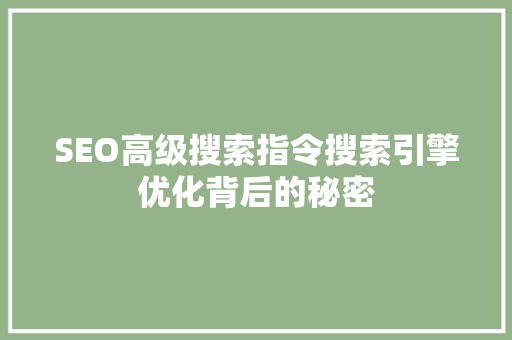 SEO高级搜索指令搜索引擎优化背后的秘密