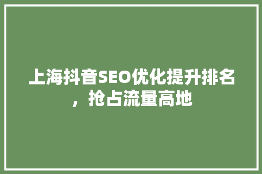 上海抖音SEO优化提升排名，抢占流量高地