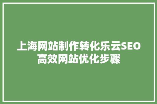 上海网站制作转化乐云SEO高效网站优化步骤