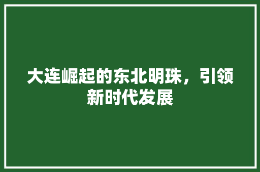 大连崛起的东北明珠，引领新时代发展