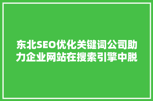 东北SEO优化关键词公司助力企业网站在搜索引擎中脱颖而出