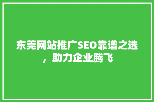 东莞网站推广SEO靠谱之选，助力企业腾飞