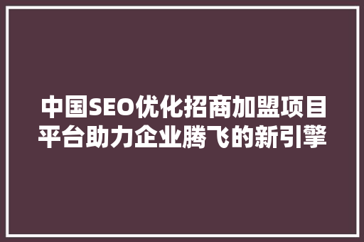 中国SEO优化招商加盟项目平台助力企业腾飞的新引擎