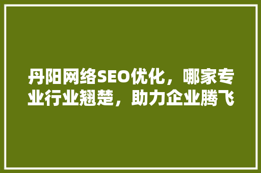 丹阳网络SEO优化，哪家专业行业翘楚，助力企业腾飞