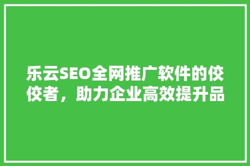 乐云SEO全网推广软件的佼佼者，助力企业高效提升品牌知名度