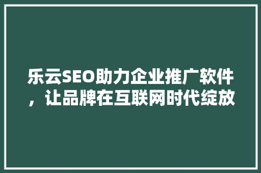 乐云SEO助力企业推广软件，让品牌在互联网时代绽放光彩