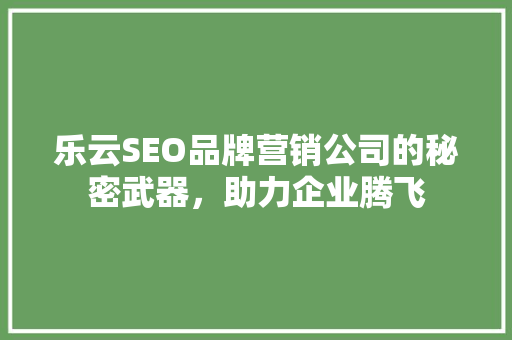 乐云SEO品牌营销公司的秘密武器，助力企业腾飞  第1张