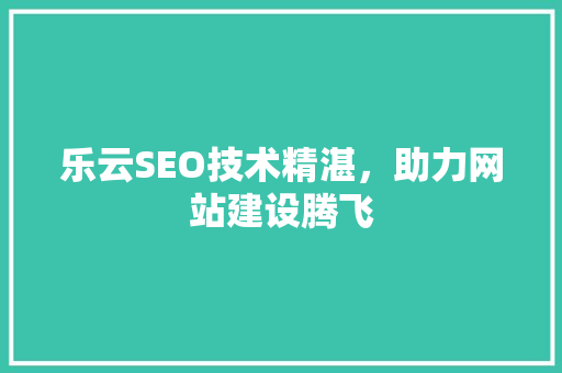 乐云SEO技术精湛，助力网站建设腾飞
