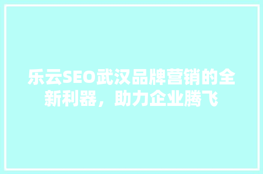 乐云SEO武汉品牌营销的全新利器，助力企业腾飞