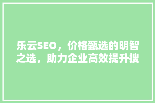 乐云SEO，价格甄选的明智之选，助力企业高效提升搜索引擎排名