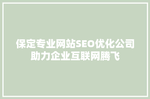 保定专业网站SEO优化公司助力企业互联网腾飞