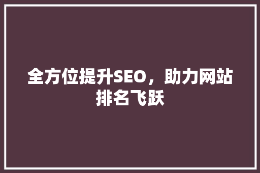 全方位提升SEO，助力网站排名飞跃