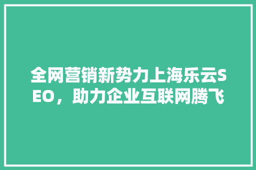 全网营销新势力上海乐云SEO，助力企业互联网腾飞  第1张
