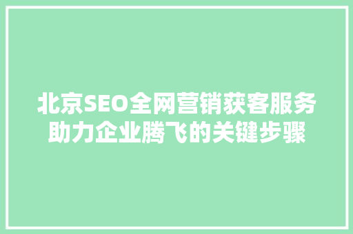 北京SEO全网营销获客服务助力企业腾飞的关键步骤