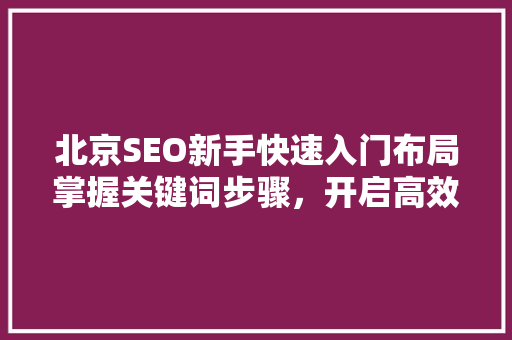 北京SEO新手快速入门布局掌握关键词步骤，开启高效优化之旅